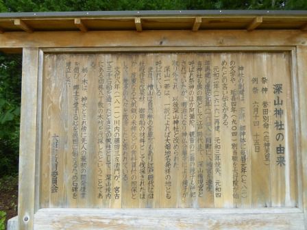 イメージ 11