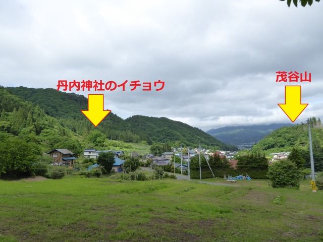 イメージ 4