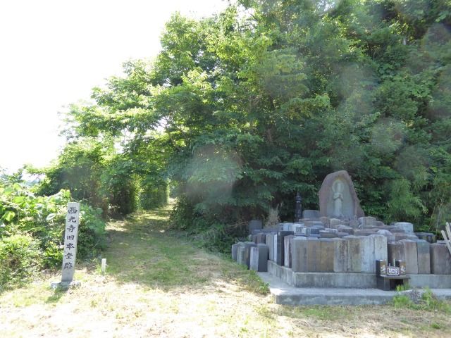 イメージ 36