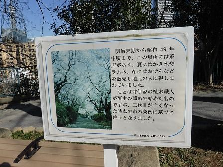 イメージ 34