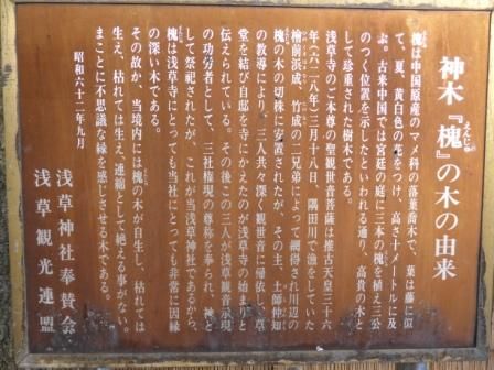 イメージ 34