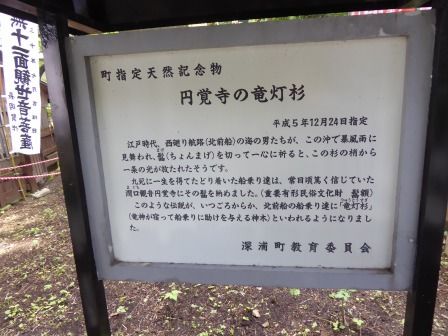 イメージ 42