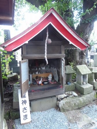 イメージ 23