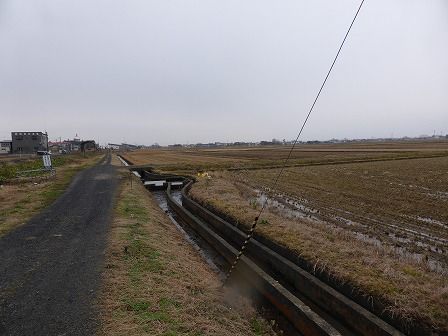 イメージ 5