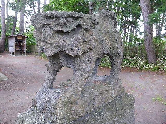 イメージ 17