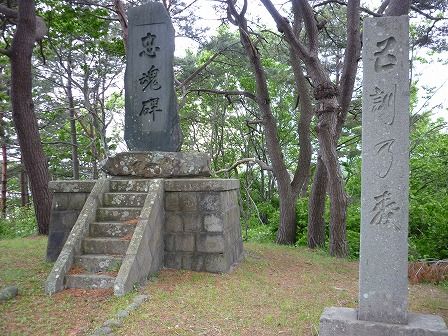 イメージ 17