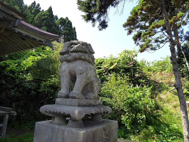 イメージ 14