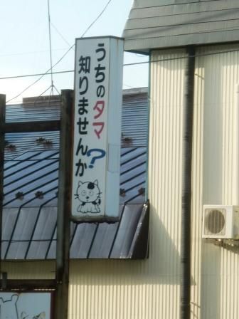 イメージ 7
