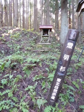 イメージ 14