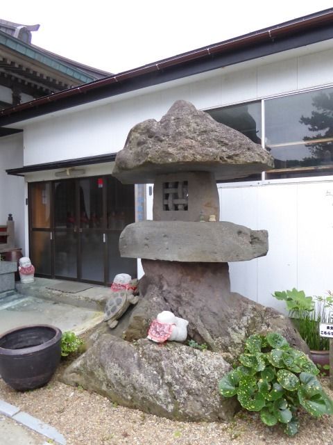イメージ 7