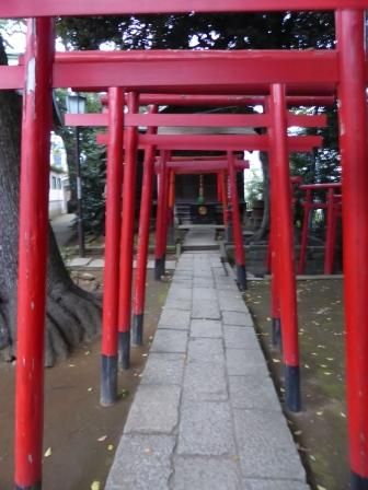 イメージ 12