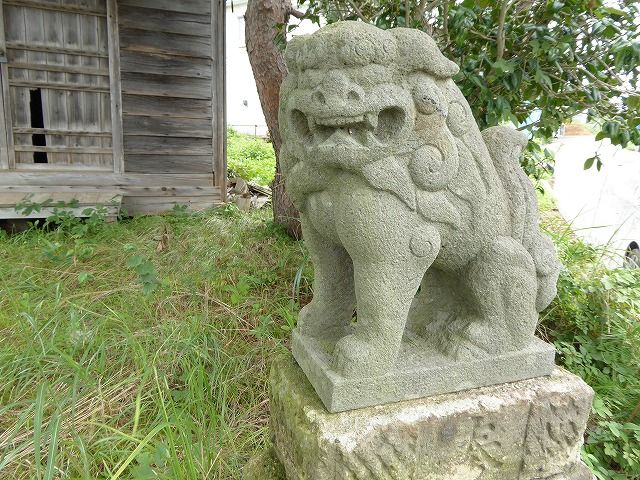 イメージ 4