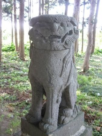 イメージ 8