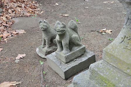 イメージ 13