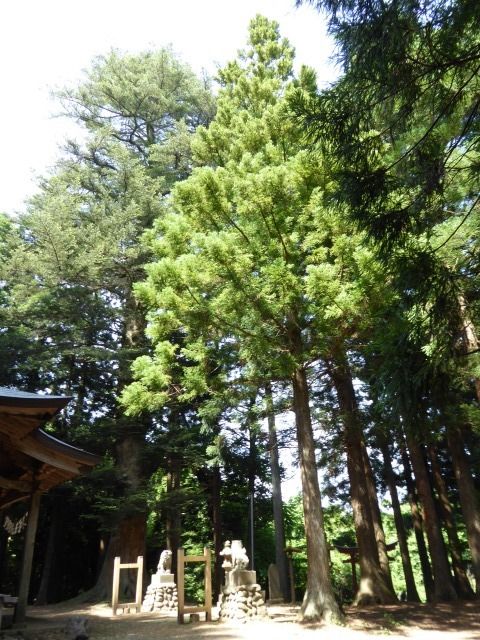 イメージ 29