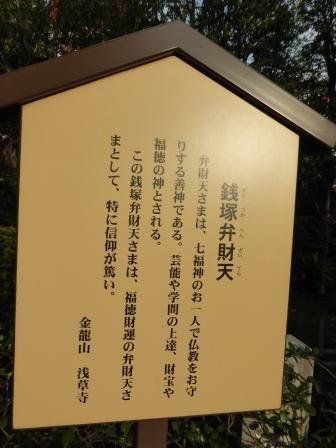 イメージ 42