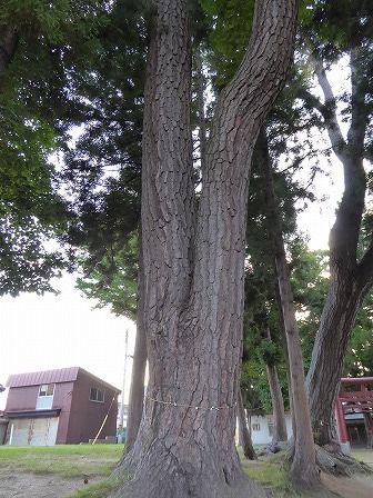 イメージ 26