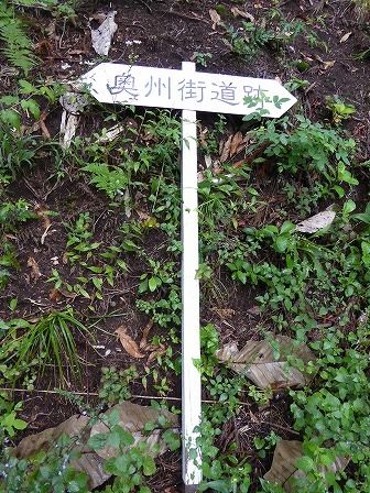イメージ 16