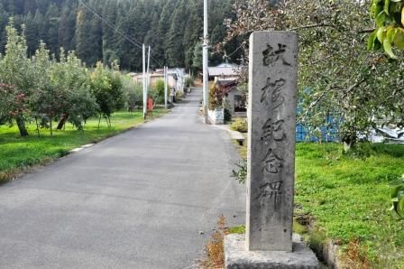 イメージ 23