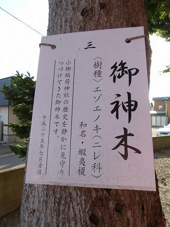 イメージ 20