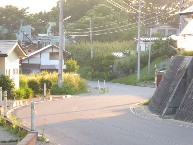 イメージ 8