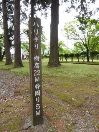 イメージ 20