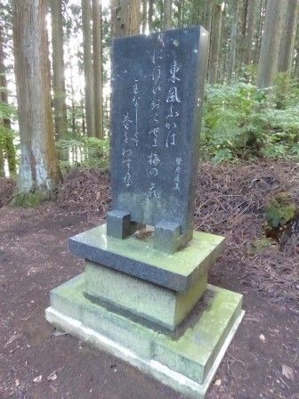 イメージ 20