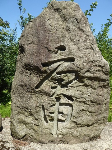 45