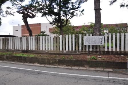 イメージ 8