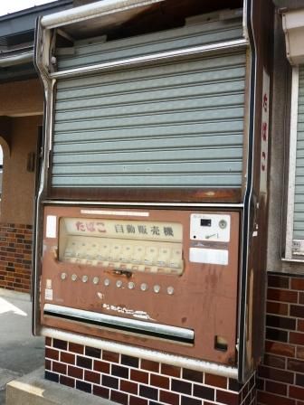 イメージ 19