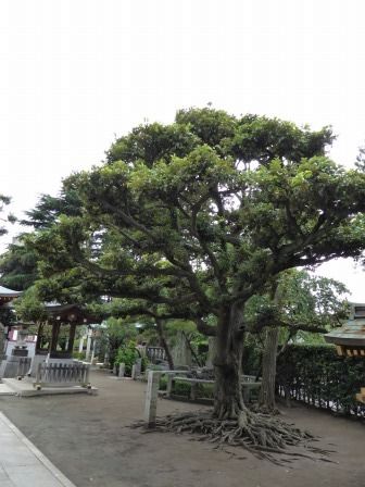イメージ 26
