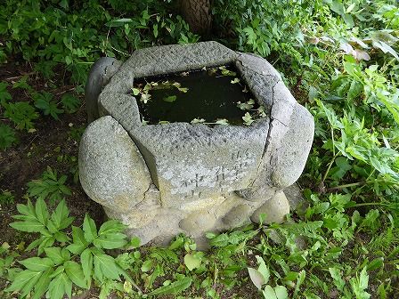 イメージ 13