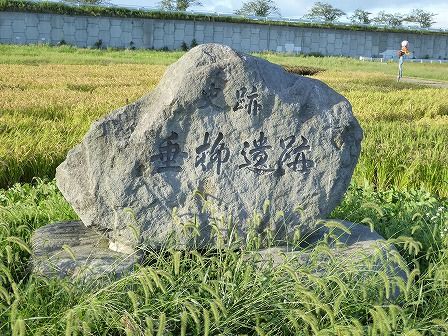 ☆【発掘調査報告書】『垂柳遺跡（全15冊）』 青森県田舎館村