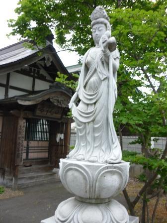 イメージ 7