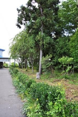 イメージ 10