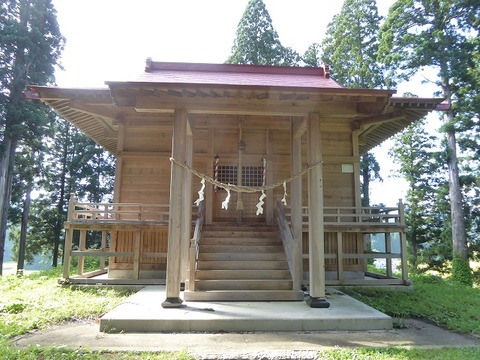 20