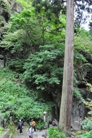 イメージ 15