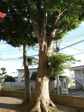 イメージ 3