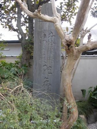 イメージ 8