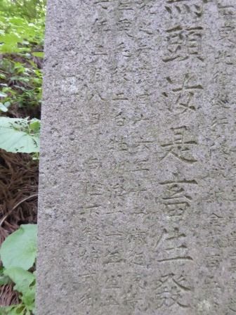 イメージ 45