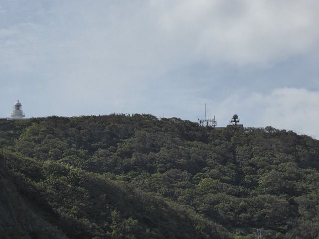 イメージ 14