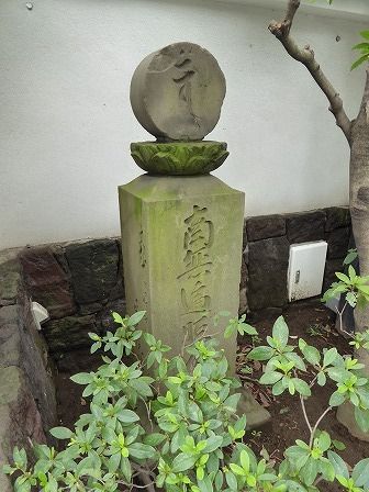 イメージ 10