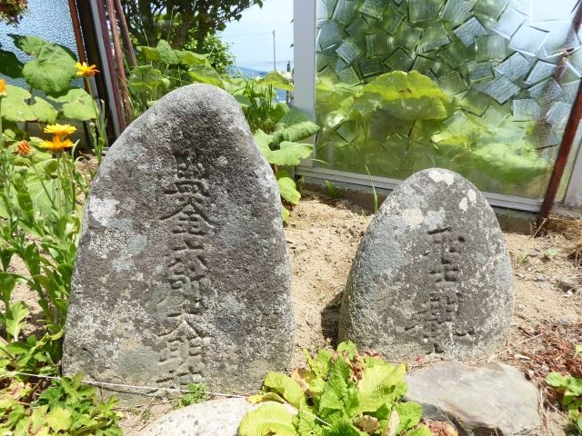 イメージ 19