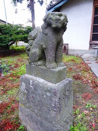 イメージ 6