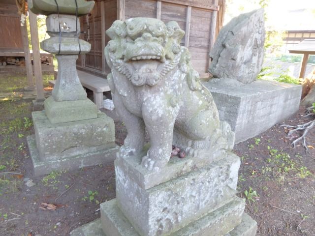 イメージ 7