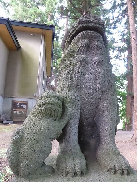 イメージ 46