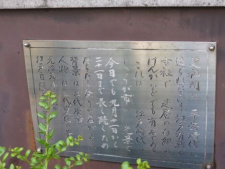 イメージ 8