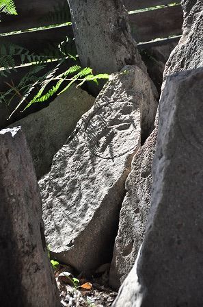 イメージ 7