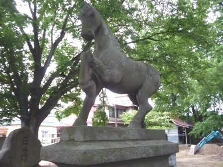 イメージ 17