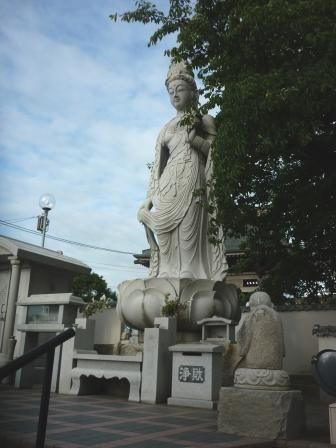 イメージ 12